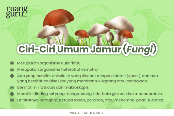 Manfaat Jamur Serta Dampak Buruknya Yang Perlu Kamu Tahu Biologi Kelas 10